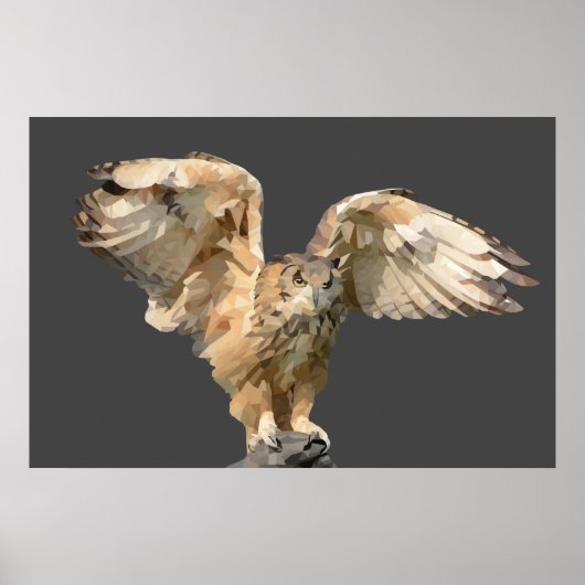 Praktisch Geometric Art Owl Poster (Voorkant)