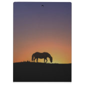 Praktisch klembord voor paarden (Achterkant)