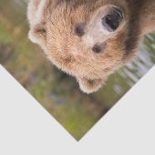 Praktisch Kodiak Brown Beer Tissuepapier (Detail)