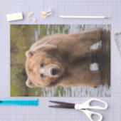 Praktisch Kodiak Brown Beer Tissuepapier (Craft)