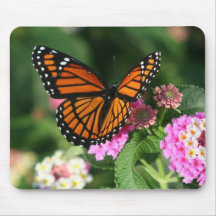 Praktisch ontwerp voor monboogvaar