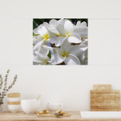 Praktisch Poster-Plumeria Poster (Keuken)