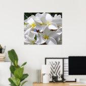 Praktisch Poster-Plumeria Poster (Thuiskantoor)