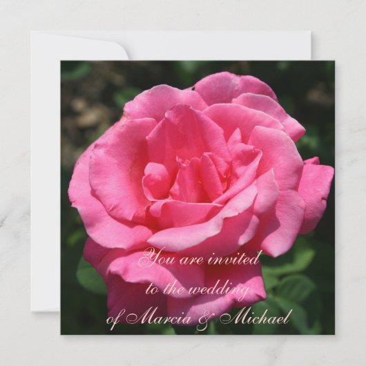 Praktische dieproze Rose Kaart (Voorkant)