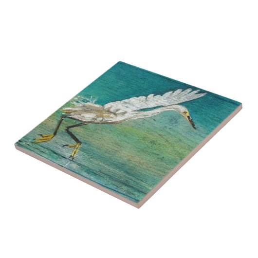 Praktische kuststrook oetshorebird op water tegeltje (Zijkant)