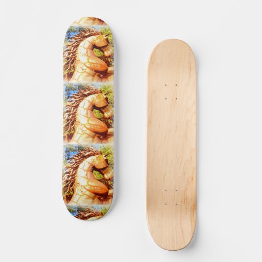 prancen skateboard (Voorkant)