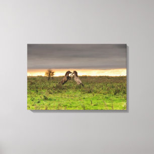 Prancenscanvas Canvas Afdruk