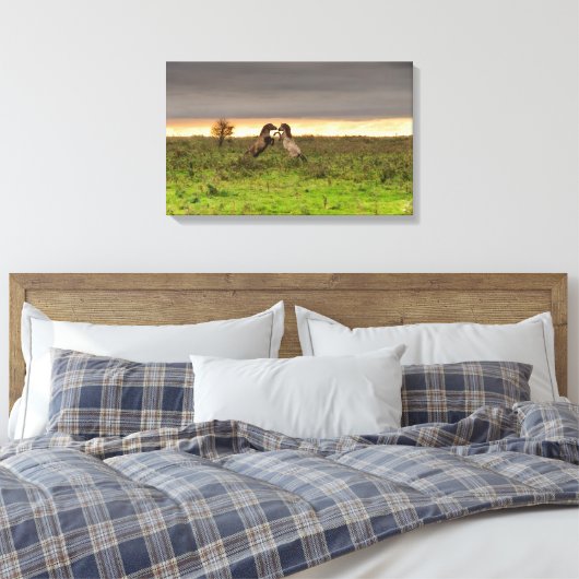 Pranching paarden canvas (Insitu (Slaapkamer))