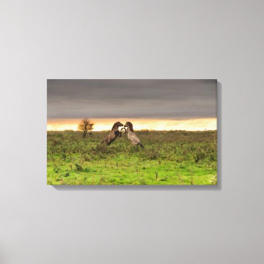 Pranching paarden canvas afdruk (Voorkant)