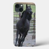 Prancing Black Arabian Case-Mate iPhone Case (Achterkant)