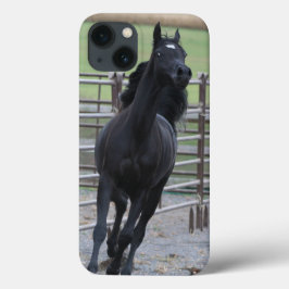 Prancing Black Arabian Case-Mate iPhone Case