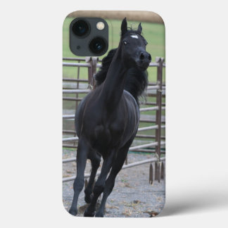 Prancing Black Arabian Case-Mate iPhone Case