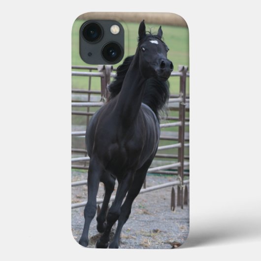 Prancing Black Arabian Case-Mate iPhone Case (Achterkant)