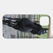 Prancing Black Arabian Case-Mate iPhone Case (Achterkant (horizontaal))
