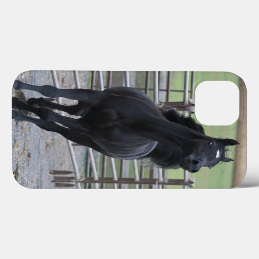 Prancing Black Arabian Case-Mate iPhone Case (Achterkant (horizontaal))