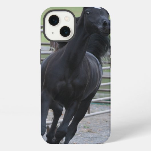 Prancing Black Arabian iPhone Hoesje (Achterkant)