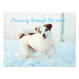 Prancing door de uitbreiding van de sneeuwfoto foto afdruk