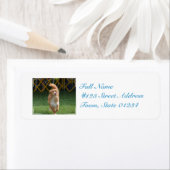 Prancing Nova Scotia Retriever Etiket (Insitu)