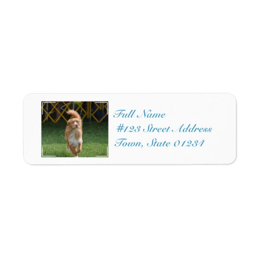 Prancing Nova Scotia Retriever Etiket (Voorkant)