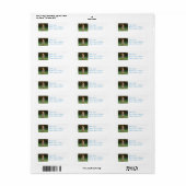 Prancing Nova Scotia Retriever Etiket (Full Sheet)