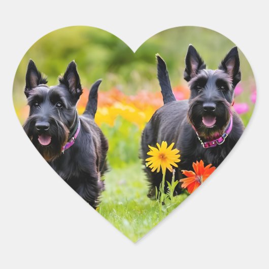 Prancing Schotse Terriers in gras en bloemen Hart Sticker (Voorkant)
