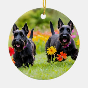 Prancing Schotse Terriers in gras en bloemen Keramisch Ornament