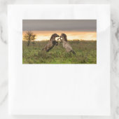 Prancing wilde paarden rechthoekige foto sticker (Tas)