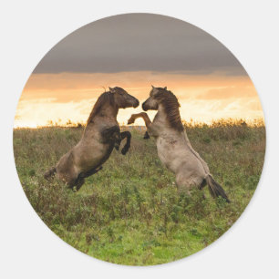 Prancing wilde paarden rond sticker