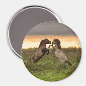 Prancing wilde paarden ronde magneet (Voorkant / Achterkant)