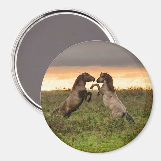 Prancing wilde paarden ronde magneet (Voorkant / Achterkant)