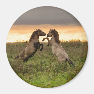 Prancing wilde paarden ronde magneet