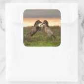 Prancing wilde paarden vierkante sticker (Tas)