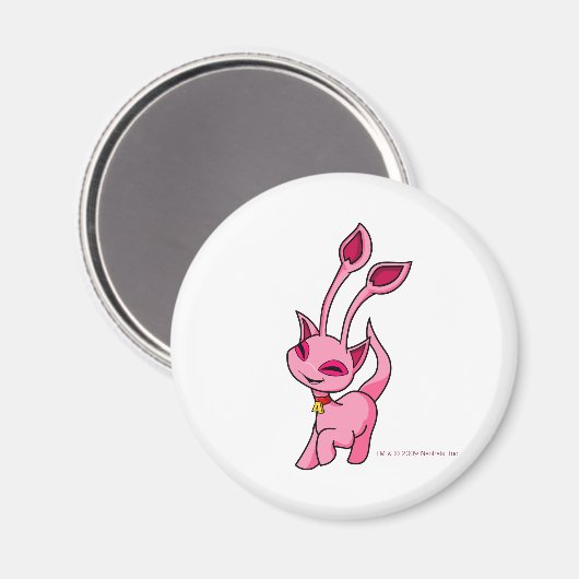 Prancroze Aisha Magneet (Voorkant / Achterkant)