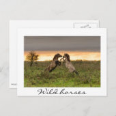 Prangend wild paarden White text briefkaart (Voorkant / Achterkant)