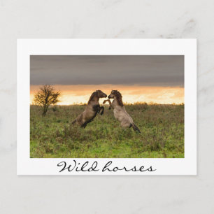 Prangend wild paarden White text briefkaart