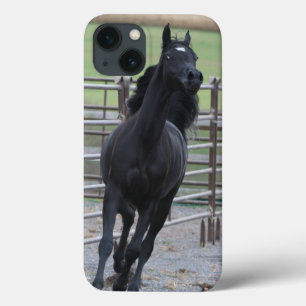 Pranking Black Arabian Case-Mate iPhone Case