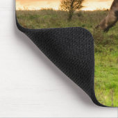 Pranking paarden mousepad muismat (Hoek)