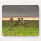 Pranking paarden mousepad muismat (Voorkant)