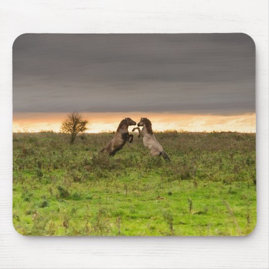 Pranking paarden mousepad muismat (Voorkant)