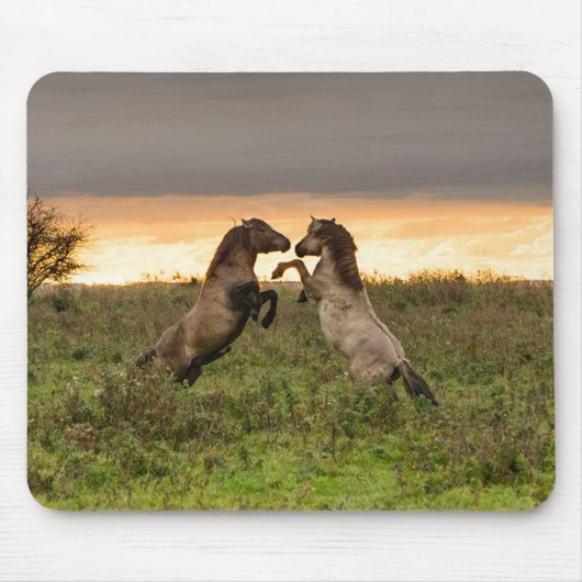 Pranking wild paarden mousepad muismat (Voorkant)