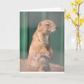 Prarie hond. kaart (Gele Bloem)