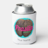 Praslin Seychellen Indische Oceaan  souvenir Blikjeskoeler (Blikje Voorkant)