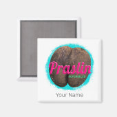 Praslin Seychellen Indische Oceaan  souvenir Magneet (Voorkant / Achterkant)