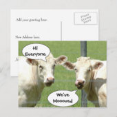 Praten Koeien Verandering van adres Briefkaart (Voorkant / Achterkant)