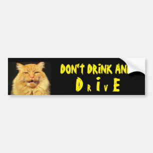 Pratende kat zegt dat je niet Drink en sterft (dri Bumpersticker