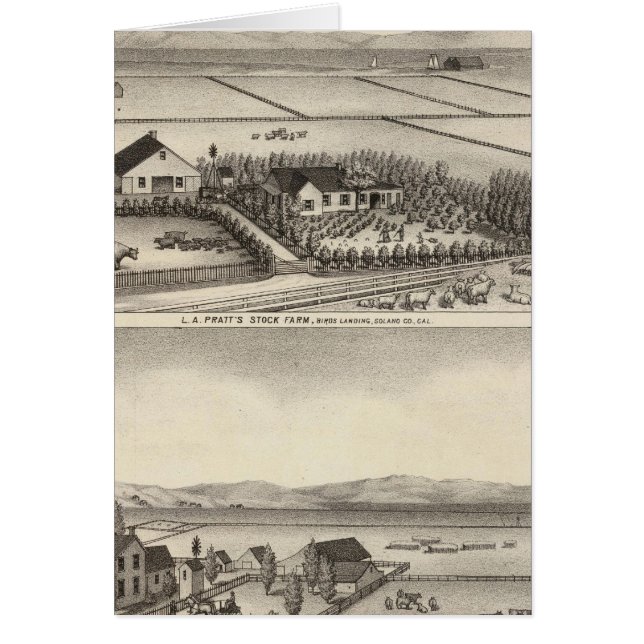 Pratt, Stewart boerderijen (Voorkant)