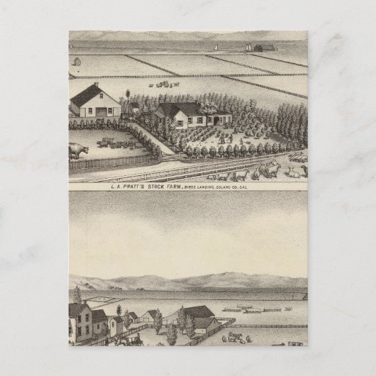 Pratt, Stewart boerderijen Briefkaart (Voorkant)