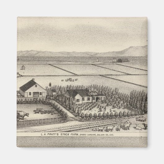 Pratt, Stewart boerderijen Magneet (Voorkant)