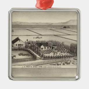 Pratt, Stewart boerderijen Metalen Ornament