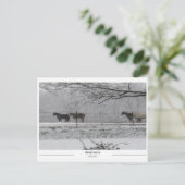 Prattville Alabama Briefkaart (Staand voorkant)